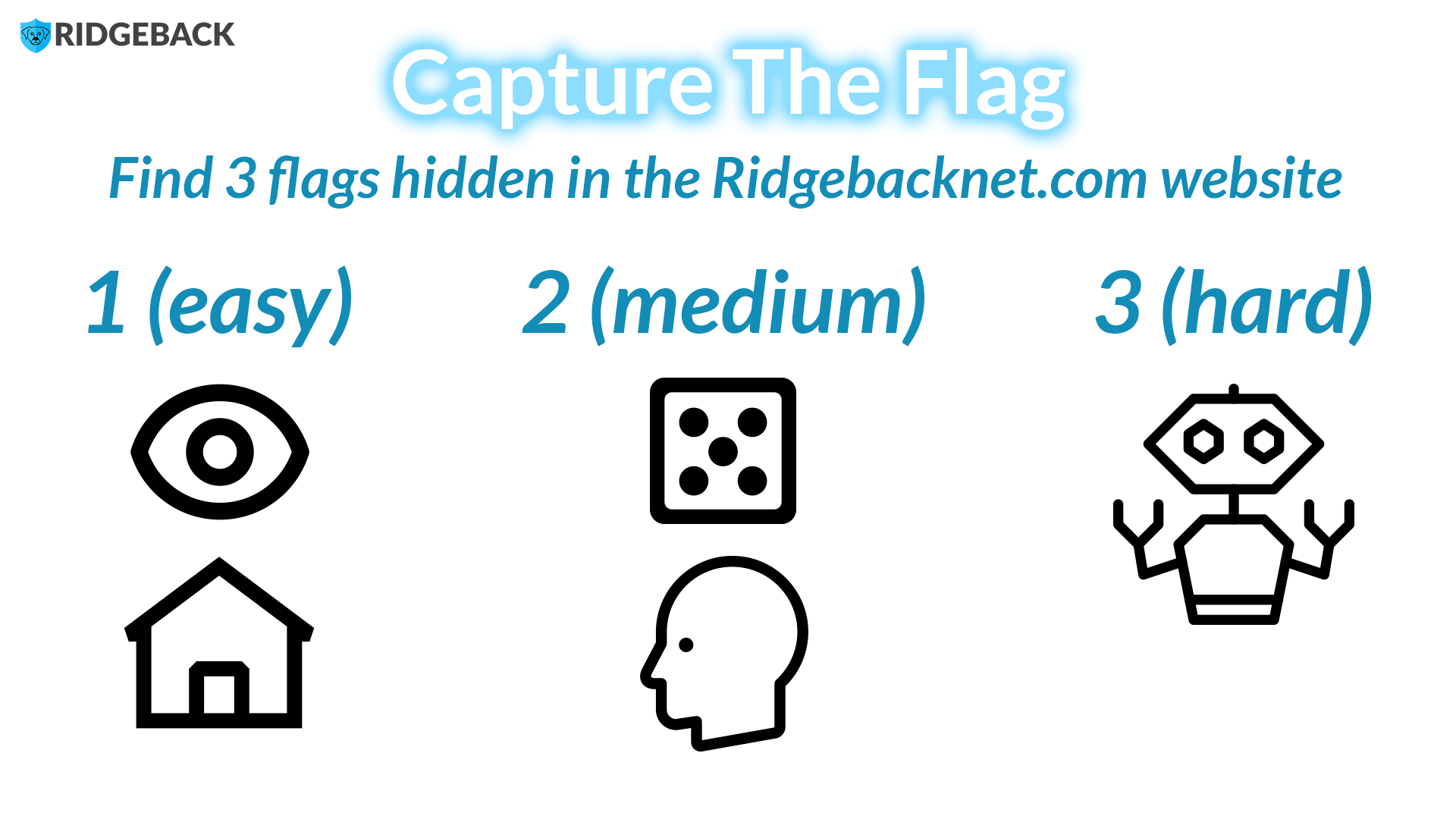 Ridgebacknet website CTF